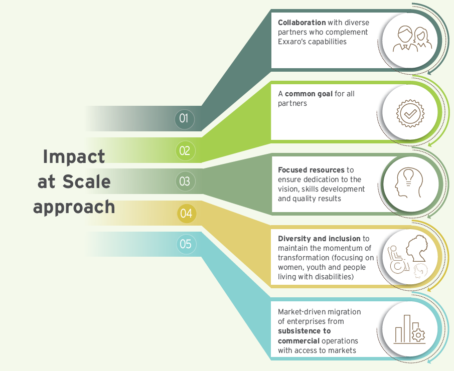 Impact at scale