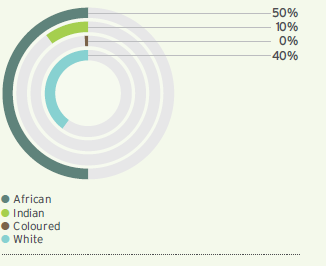 Executive race diversity (%)