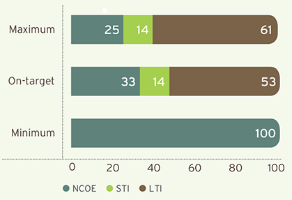 CEO: Pay mix (%)
